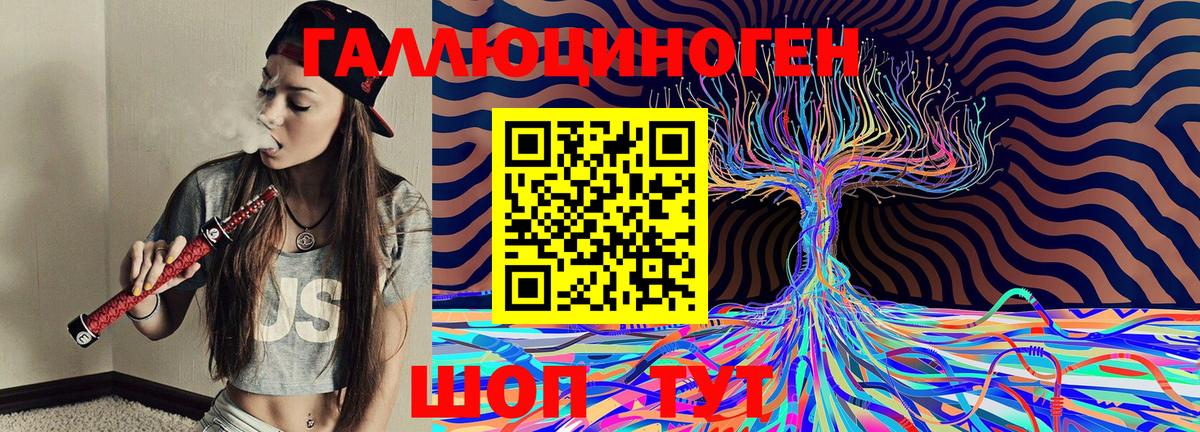 Псилоцибиновые грибы Psilocybe Тында
