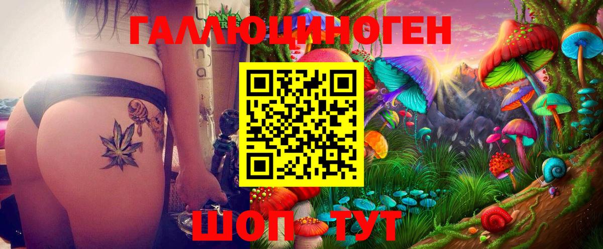 Тында  Галлюциногенные грибы Psilocybe  Вход с VPN 